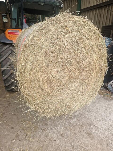 Heu-Rundballen Pferdeheu