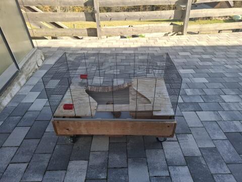 Meerschweinchen-, Hasenstall
