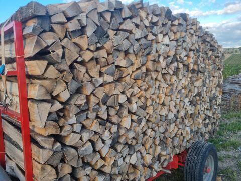 Brennholz