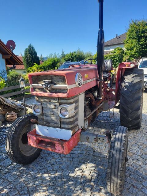 Massey Ferguson 165, Bj. 1969