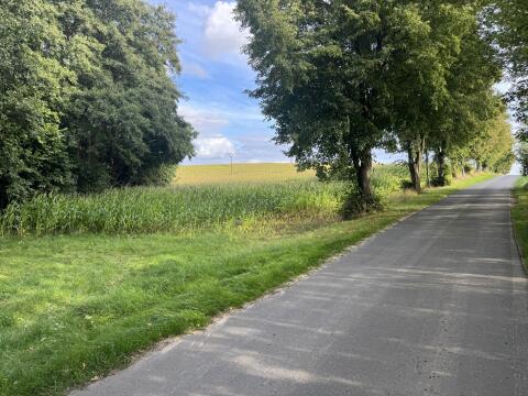 Ackerland in hervorragender Lage und bester Anbindung zu verkaufen
