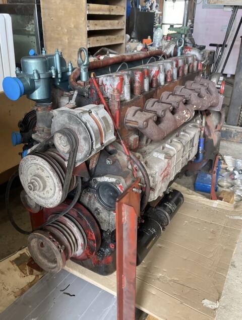 Steyr WD615 Motor Steyr 8.300 8.320 Turbo neu