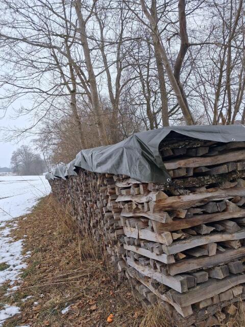 Brennholz