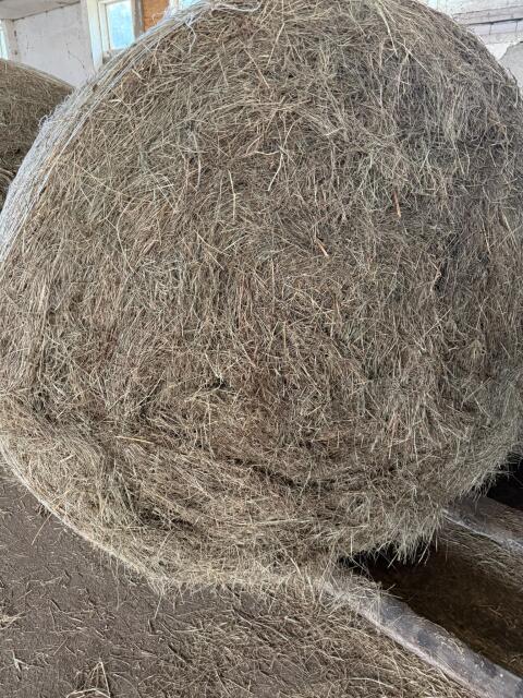 Heu Rundballen 1,60 m, ca. 390 kg, 2. Schnitt
