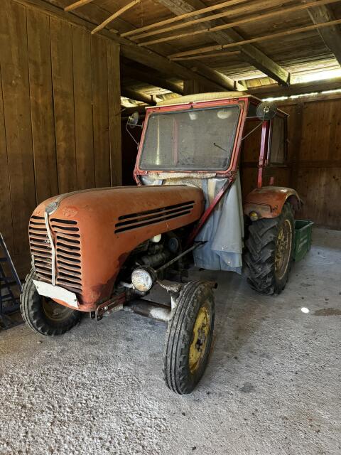 Steyr