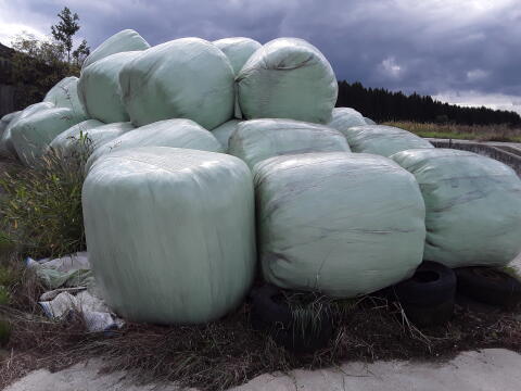 Siloballen zu verkaufen