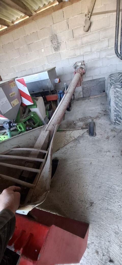 Muserschnecke