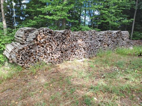 Brennholz