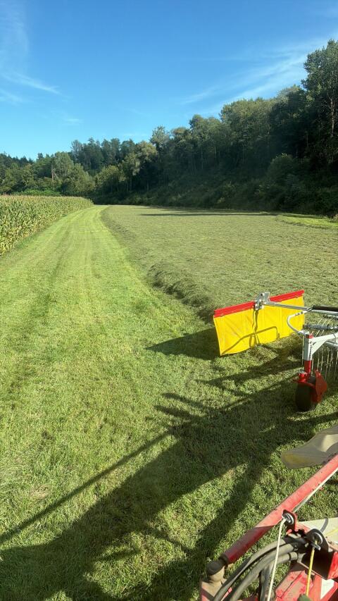 25 Grassilage- bzw. Kleegrassilageballen