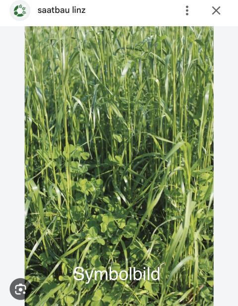 Landsberger Gemenge ab Feld 8,4 ha