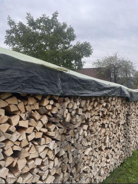 Brennholz Buche