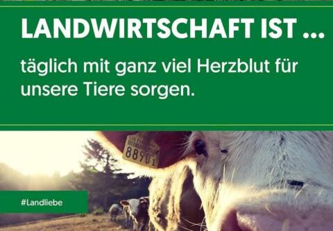 Fachkraft (Melker, Betriebshelfer, Pferdepfleger) sucht ...