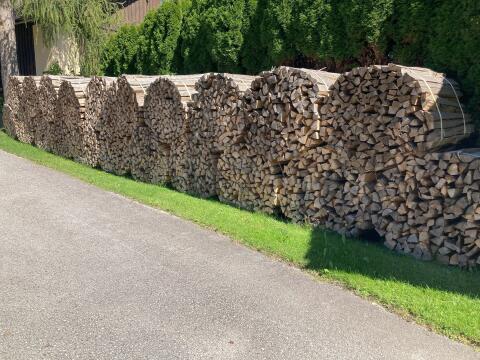 Brennholz Buche