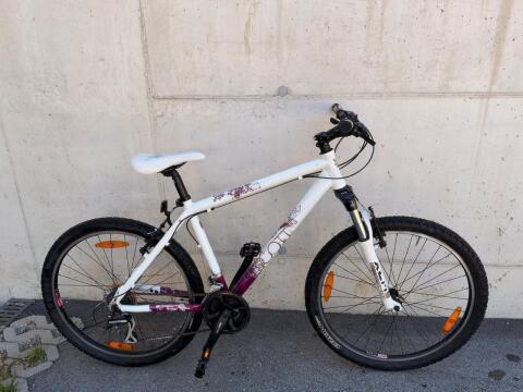 Fahrrad Scott