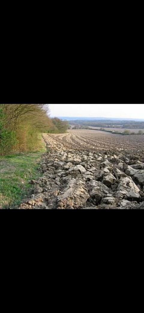 Suche Acker oder Wiese