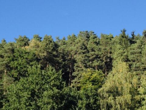 Suche Wald, landwirtschaftliche Nutzfläche, Teich