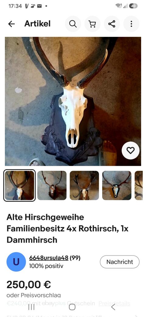 Hirschtrophäen aus Familienbesitz