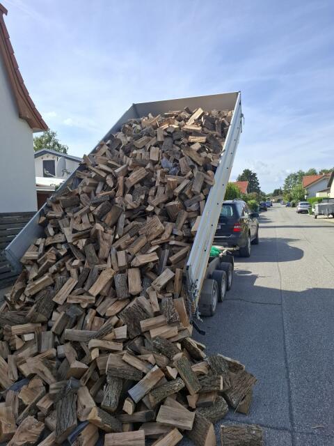 Brennholz Hartholz Esche, Eiche