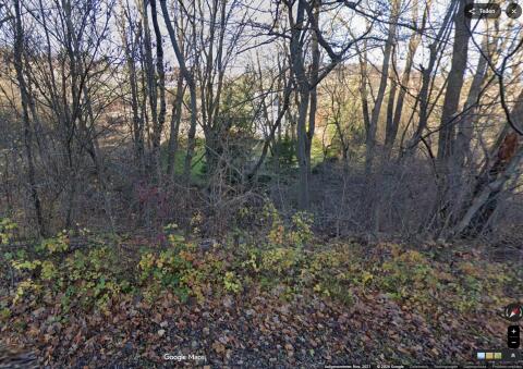 Wald, 1.526 m² groß, mit Bach in Klosterneuburg (Kritzendorf)