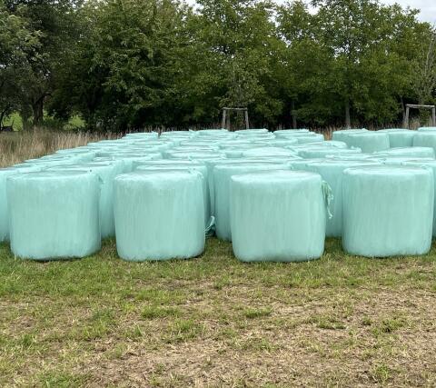 Silageballen, Luzerneballen, Siloballen, Luzerne-Klee