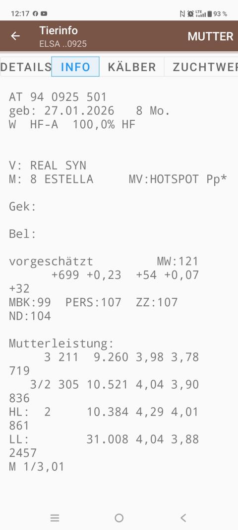 HF-Jungkalbin zu verkaufen