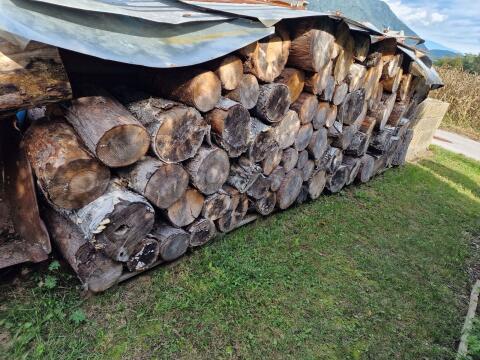 Holz