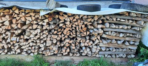 Buchenholz