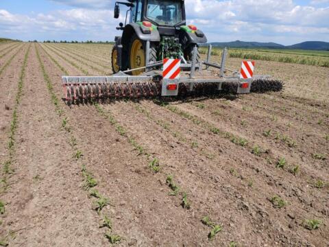 Rollhacke Fliegl 6,5 m