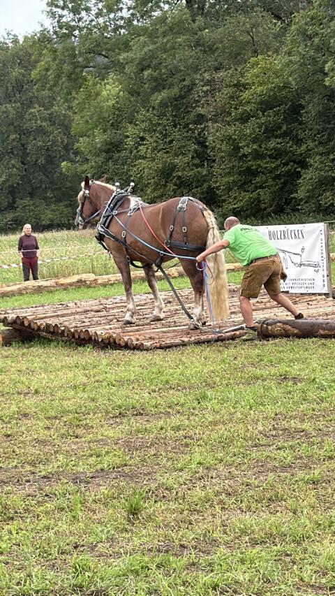 Holzrückepferd