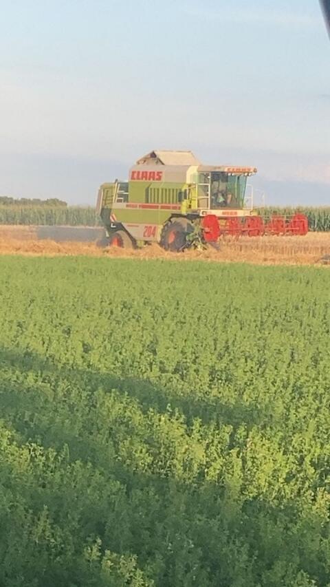 Claas MEGA 204