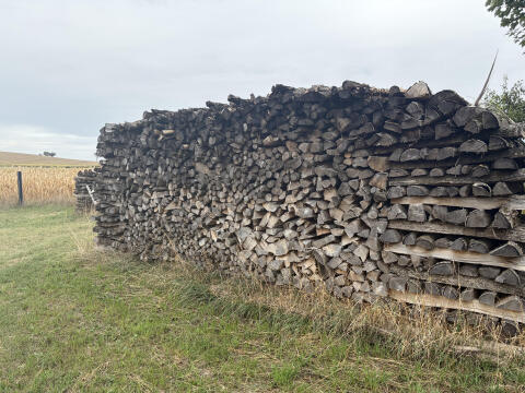 Brennholz