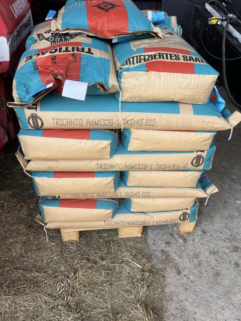BIO Triticale Saatgut