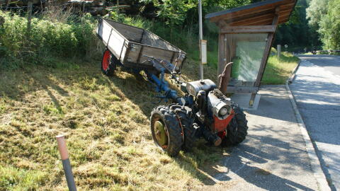 Sammlungsauflösung Rapid Einachser