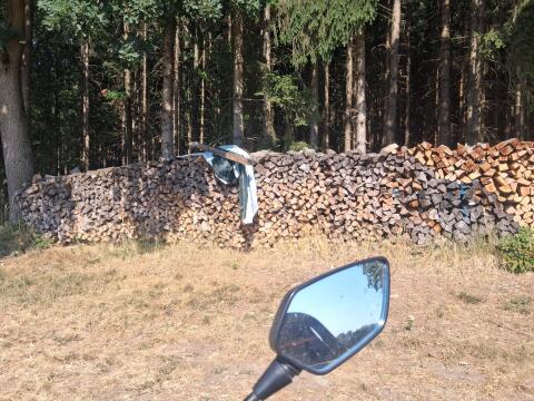 Brennholz
