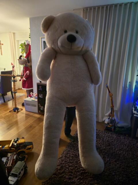 Teddybär