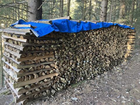 Brennholz, Scheitholz, Kaminholz