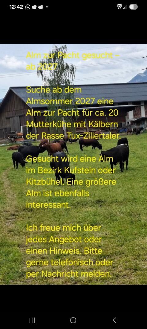 Alm zum Pachten gesucht