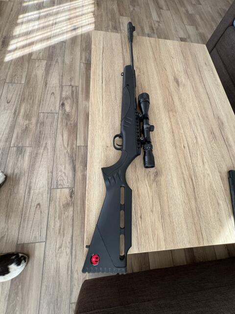 Luftgewehr Ruger Targis Hunter