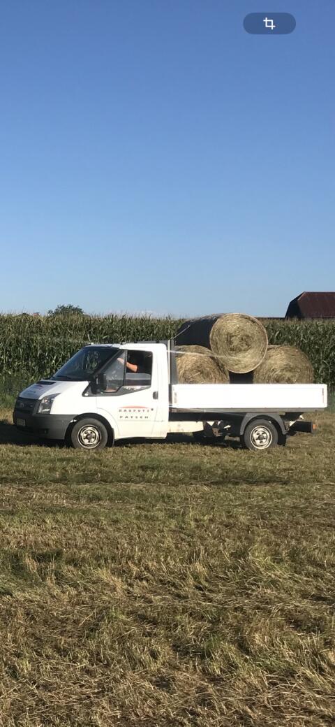 Ford Transit Pritsche