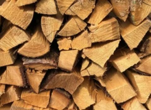 Brennholz