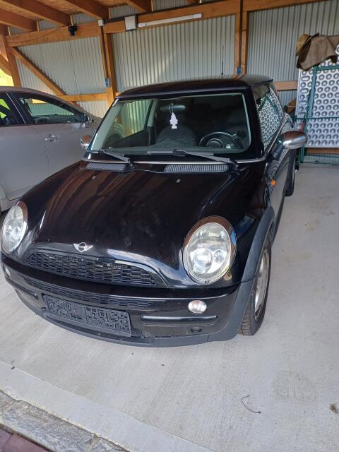 Mini Diesel One D