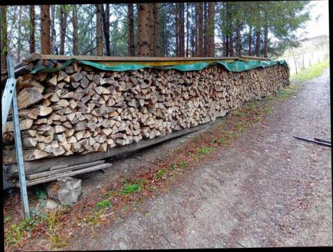 Buchenbrennholz