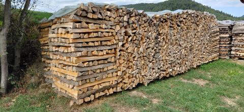 Bucklige Welt Brennholz Esche