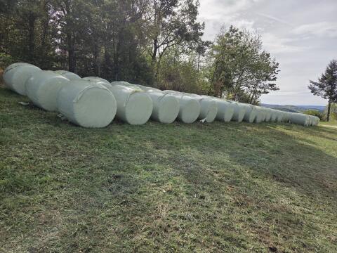Silageballen