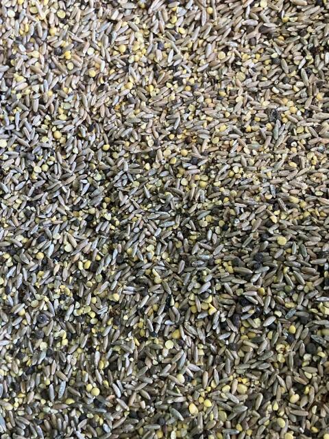 Bio-Futter Roggen Wicke 1.000 kg
