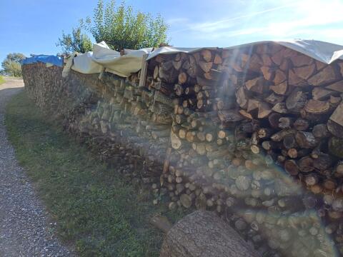 Brennholz weich