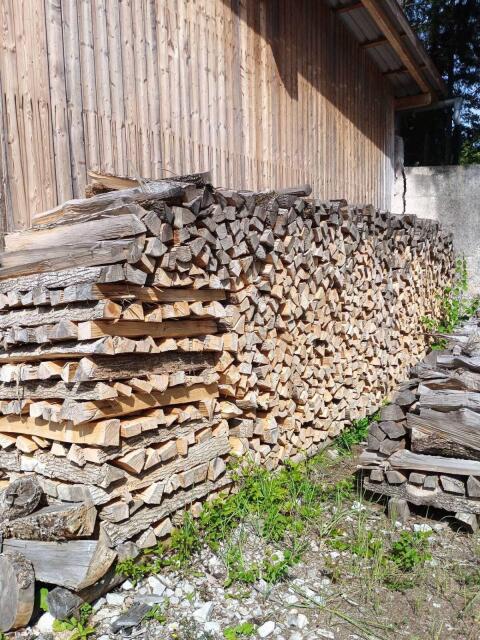 Brennholz Esche