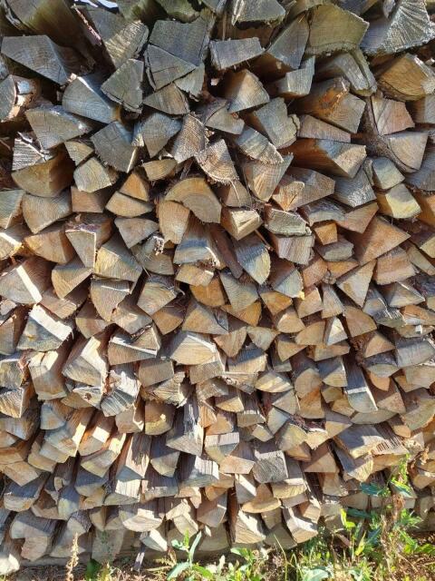 Brennholz