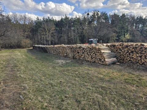 Brennholz