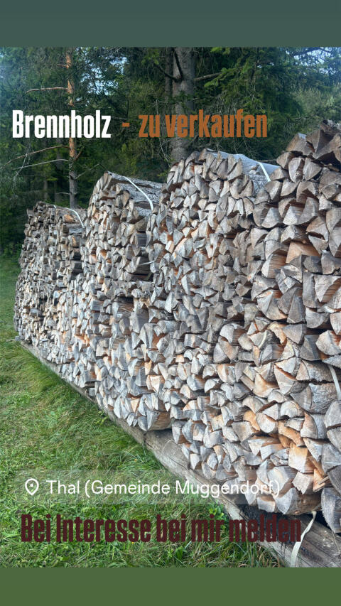 Brennholz Buche und gemischt